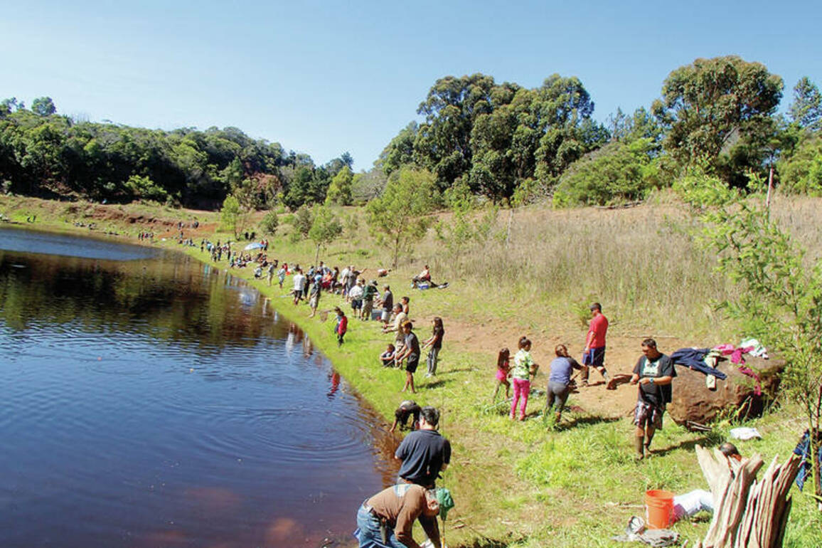 Kokua Line- Why cant I catch and release rainbow trout&quest;
