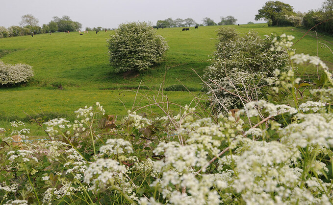 Countryside COP back for its third year