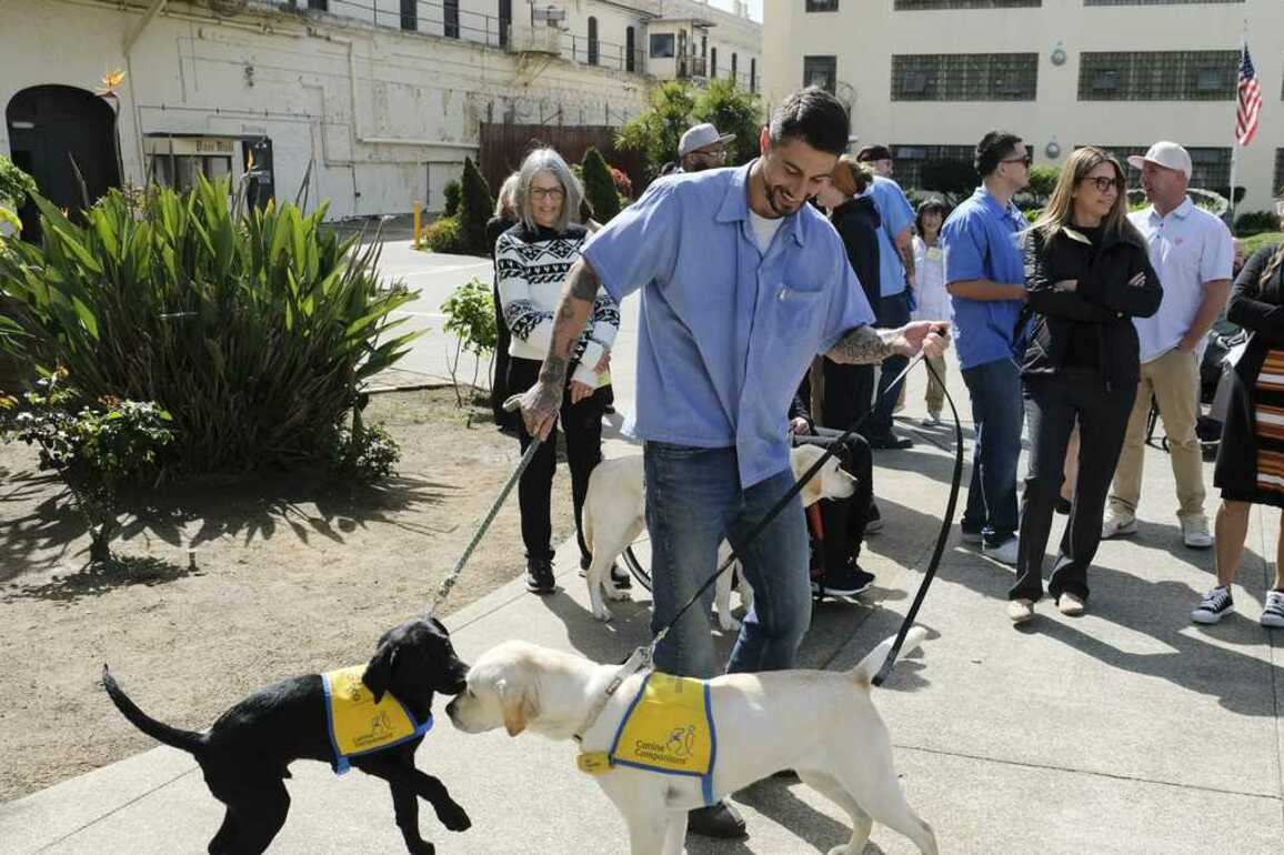 Inmates reunite with puppies they raised into service dogs
