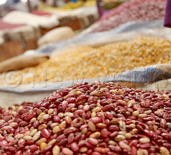  ain informal crossborder exports items include beans maize sugar bananas and fish