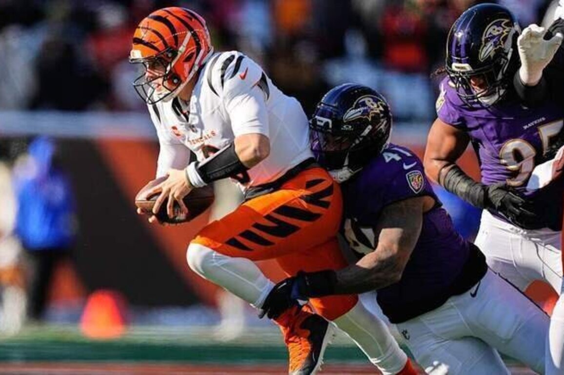 Ravens Defense 'Attacks,' Hands Joe Burrow His First Shutout