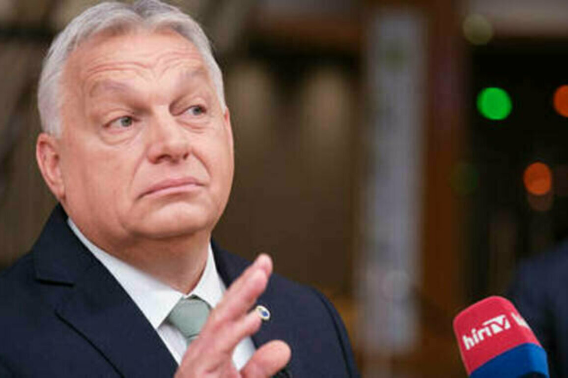EU state blocks accession talks with Ukraine