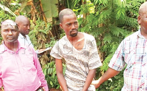 Kisuule (wakati) nga bamukutte. Kisuule (wakati) nga bamukutte.