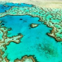 Will surging sea levels kill the Great Barrier Reef? Ancient coral fossils may hold the answer