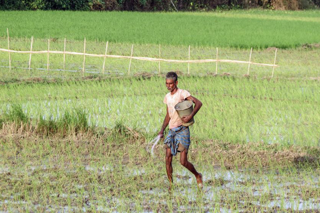 Agriculture sector to stabilise but stay uneven in 2026; soybeans, corn face supply shifts: Report