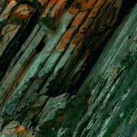 How poetry can help us understand mass extinction events