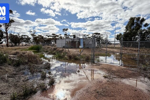 Water Corp defends response to leaks and sewage spills amid flood of complaints
