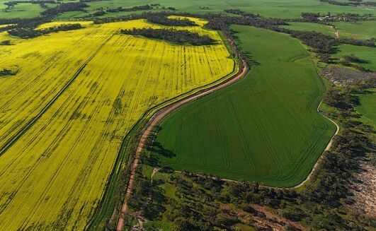 GIWA estimates the WA winter cropping area at 9.39m hectares. 