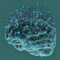 How 'brain cleaning' while we sleep may lower our risk of dementia
