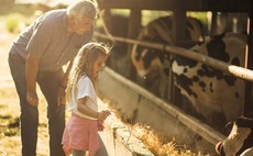 Farm Safety Series: Safeguarding children and the public on-farm