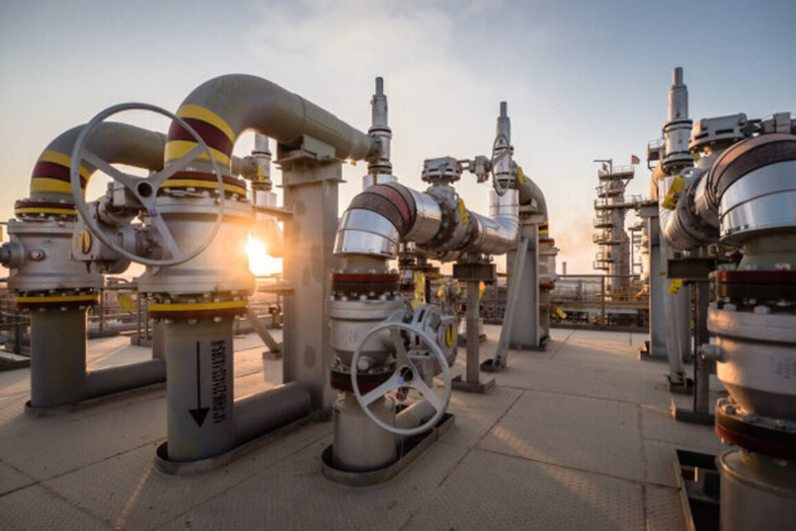 Gazprom Neft Badra B.V.: Full Company Profile