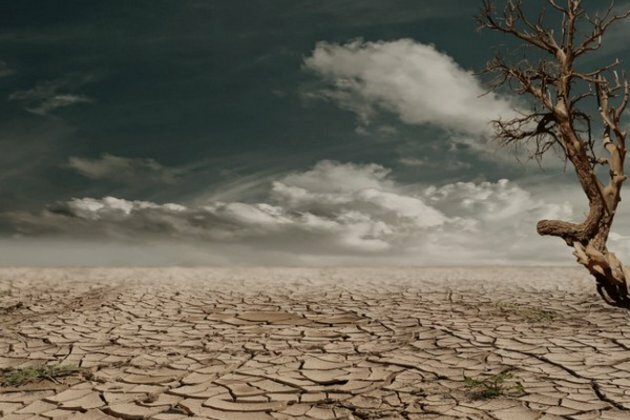 Decisive collective action could reduce climate migration
