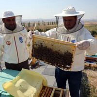 TRKIYE-ANKARA-CLIMATE-BEEKEEPING-TOURISM