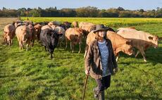 Great British Beef Week 'goes green'