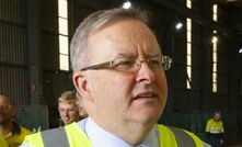 Labor leader Anthony Albanese