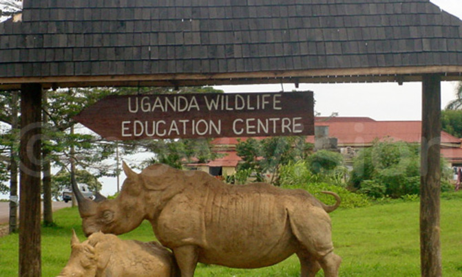 Entebbe zoo named best in East and Central Africa Entebbe zoo named best in East and Central Africa