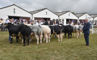 Livestock, food stalls and TV stars – what to see at this year's Great Yorkshire Show