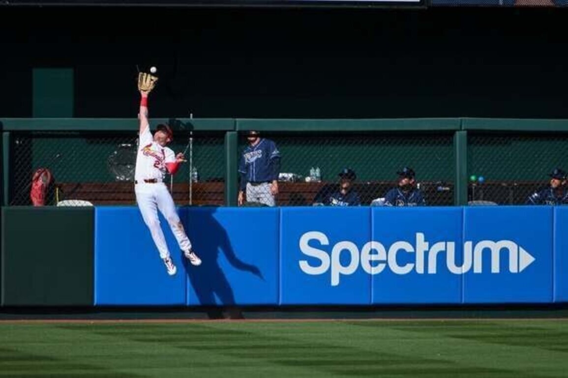 Cardinals match Rays' sixth-inning uprising with their own, win 9-7