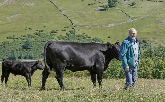 Beef special: Cross-breeding a success for suckler herd