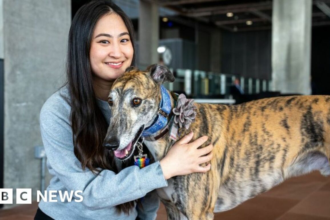 The battle to ban greyhound racing in Scotland