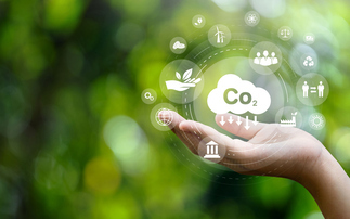 Green Finance Institute launches CDR Catalyst to unlock investment in UK's carbon removal sector