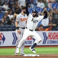 Rays' ballpark proposal survives initial narrow Tampa council vote