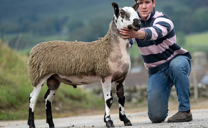 Sale leader at £40,000 was V1 Mcffi from Messrs Richards