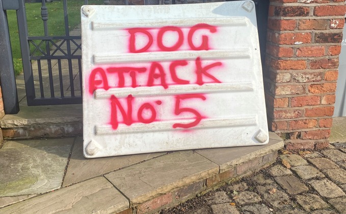 The farmer shot one of the dogs to stop them from attacking their livestock. (Cheshire Police Rural Crime Team)