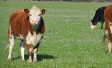 The National Carbon Farming Conference and Expo will delve into all aspects of carbon and emissions including livestock production.