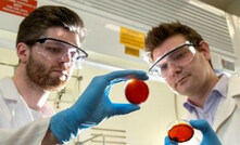 Flinders student Max Worthington and Dr Justin Chalker with the new polymer