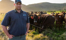 Partner Insight: Forage quality underpins South African dairy farm's business resilience