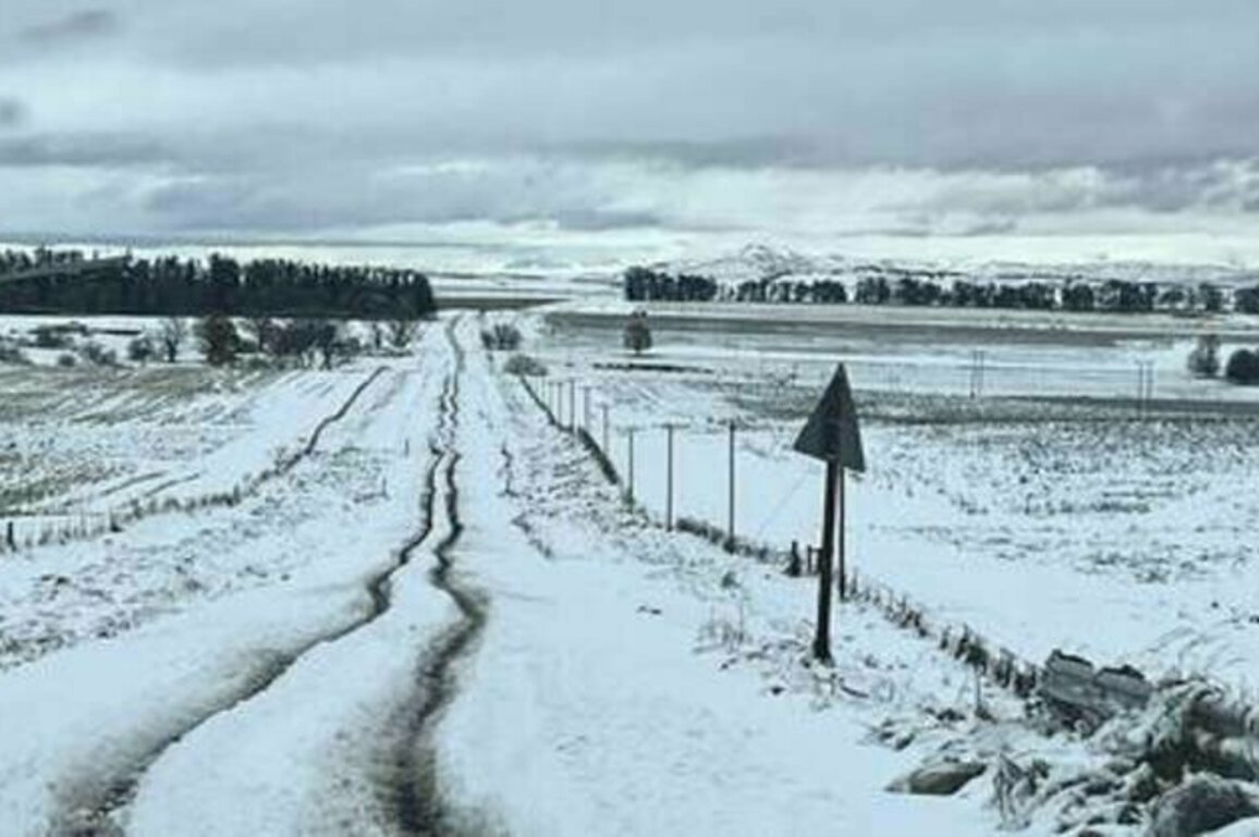 Heavy snowfall grips South Africa (VIDEOS)