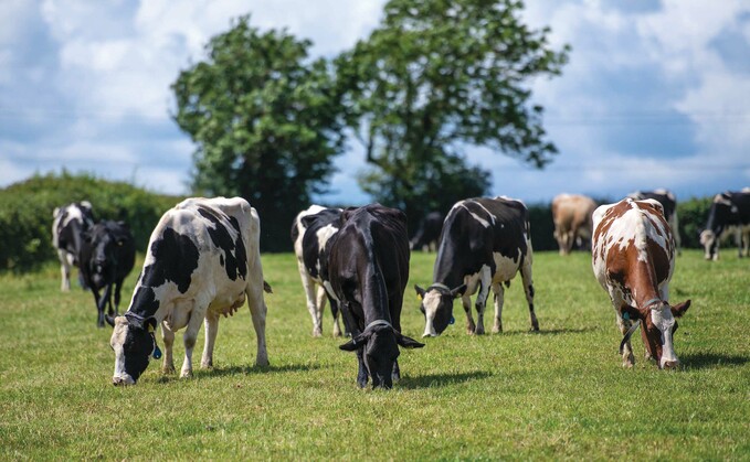 Technology to help collect and analyse data is being developed at the South West Dairy Development Centre Technology to help collect and analyse data is being developed at the South West Dairy Development Centre