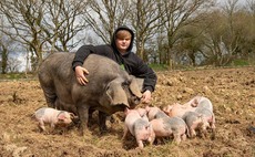 New entrant starts thriving pig business - 'The support is not there before you are 18'