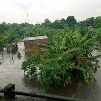 Why Kinshasa keeps flooding - and why it's not just about the rain