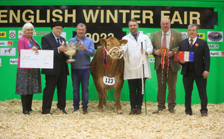 Cor Blimey wins at the English Winter Fair  