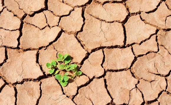 Southeast Asia VC: Drought survivors 