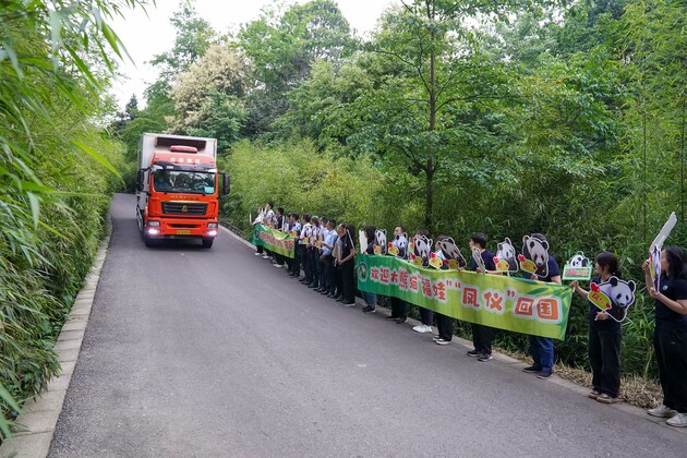 CHINA-SICHUAN-YA'AN-RETURNED GIANT PANDAS FROM MALAYSIA (CN)