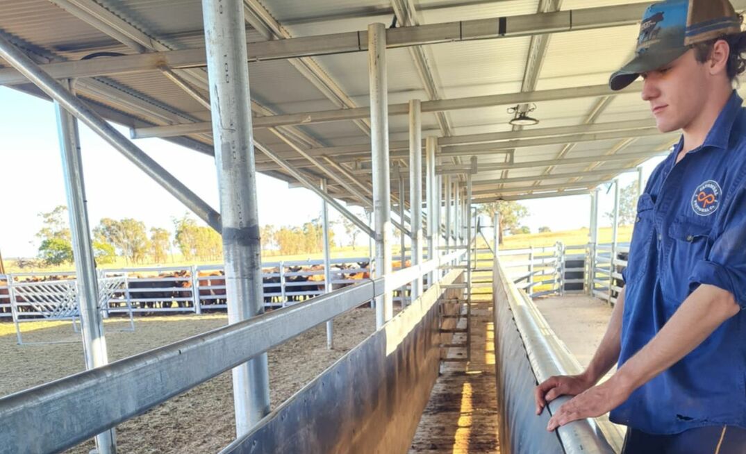 Lawson Gulliver's cattle race with full-length catwalk.