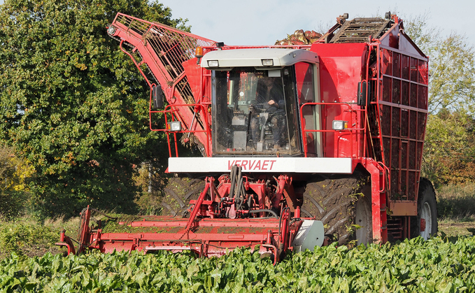 Trivett and Sons have added beet harvesting to their contracting portfolio, using a reconditioned Vervaet 617 which also lifts their own crops.