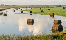 Study: 'Inseparable' social and environmental risks are leaving financial portfolios exposed