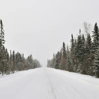 Readers Write- Minnesota state song, public health, social security