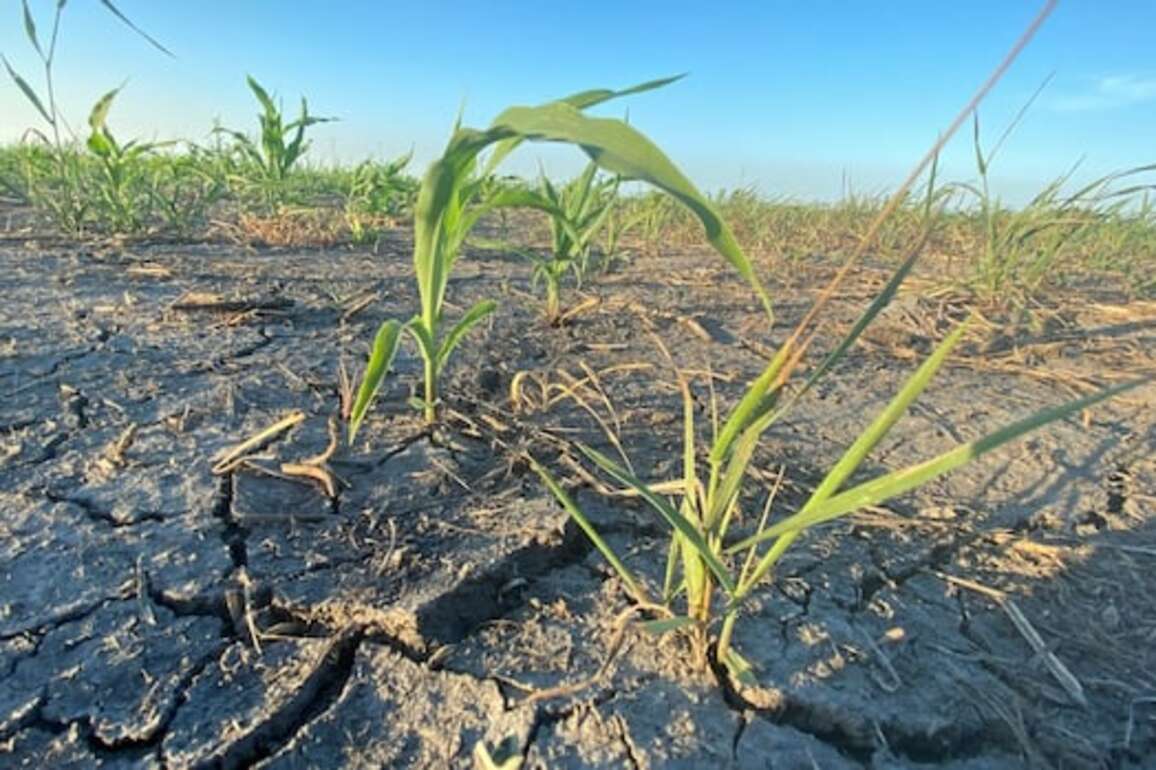 Hot, dry weather in Manitoba this year 'quite serious' for farmers, firefighters