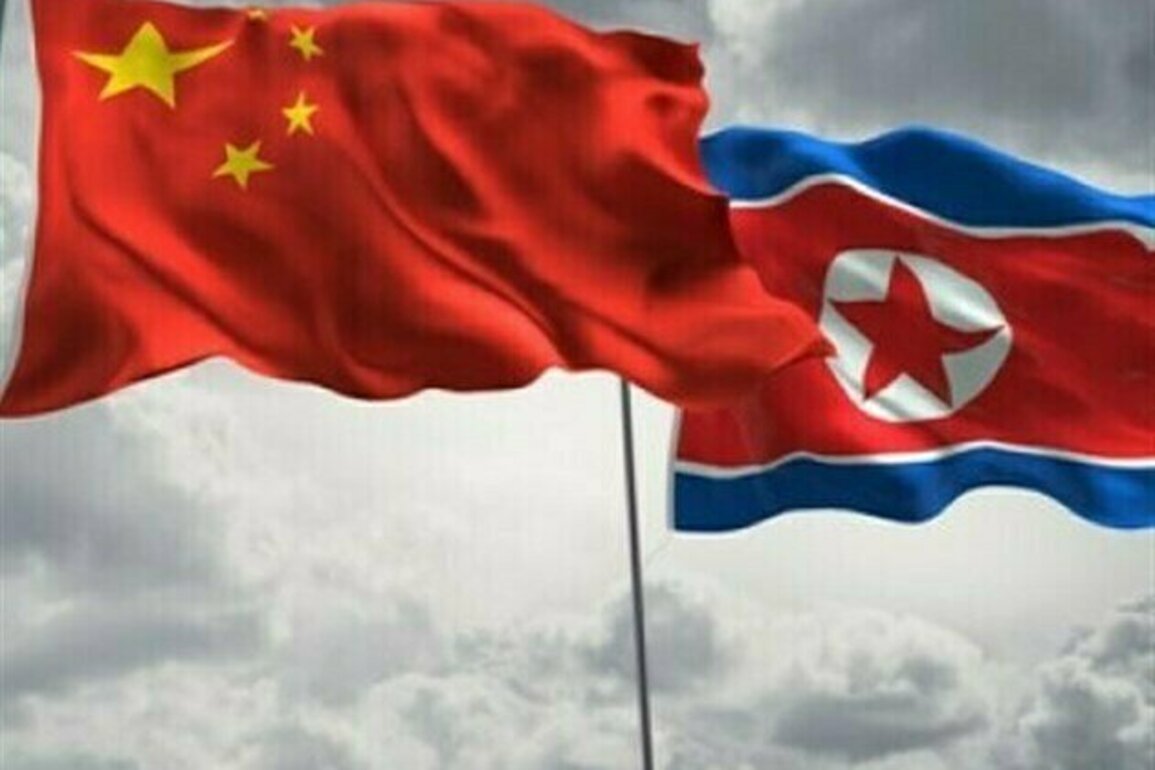 China's Xi Backs Closer Cooperation with North Korea, KCNA Says