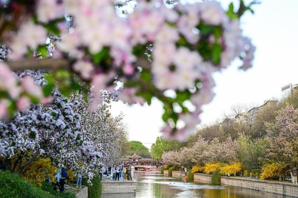 FOCUS | Qingming holiday travel fuels vibrant consumption surge across China