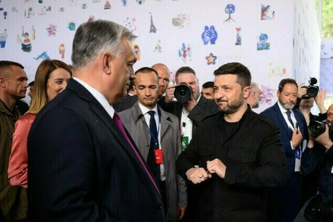 Hungary wont tie its fate to Ukraine  Orban