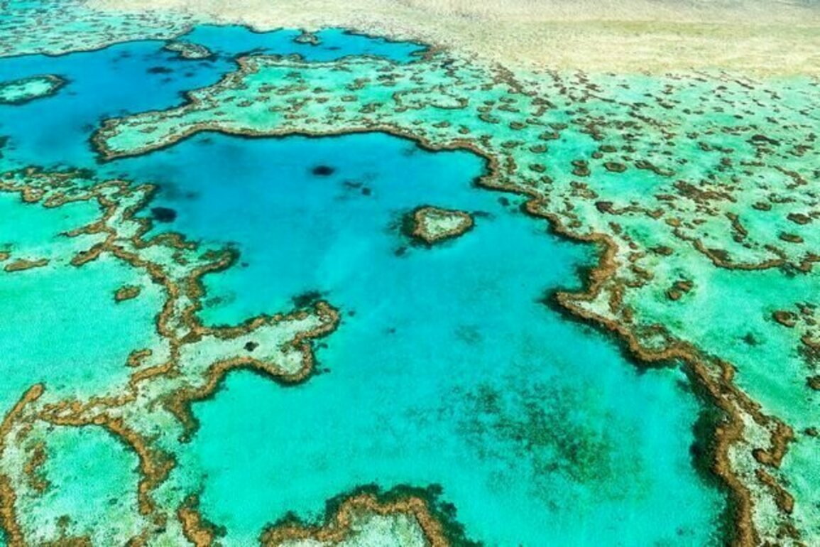 Will surging sea levels kill the Great Barrier Reef? Ancient coral fossils may hold the answer