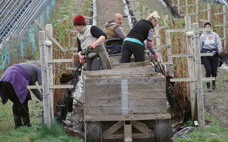 Government introduces new rules for Seasonal Worker Scheme 