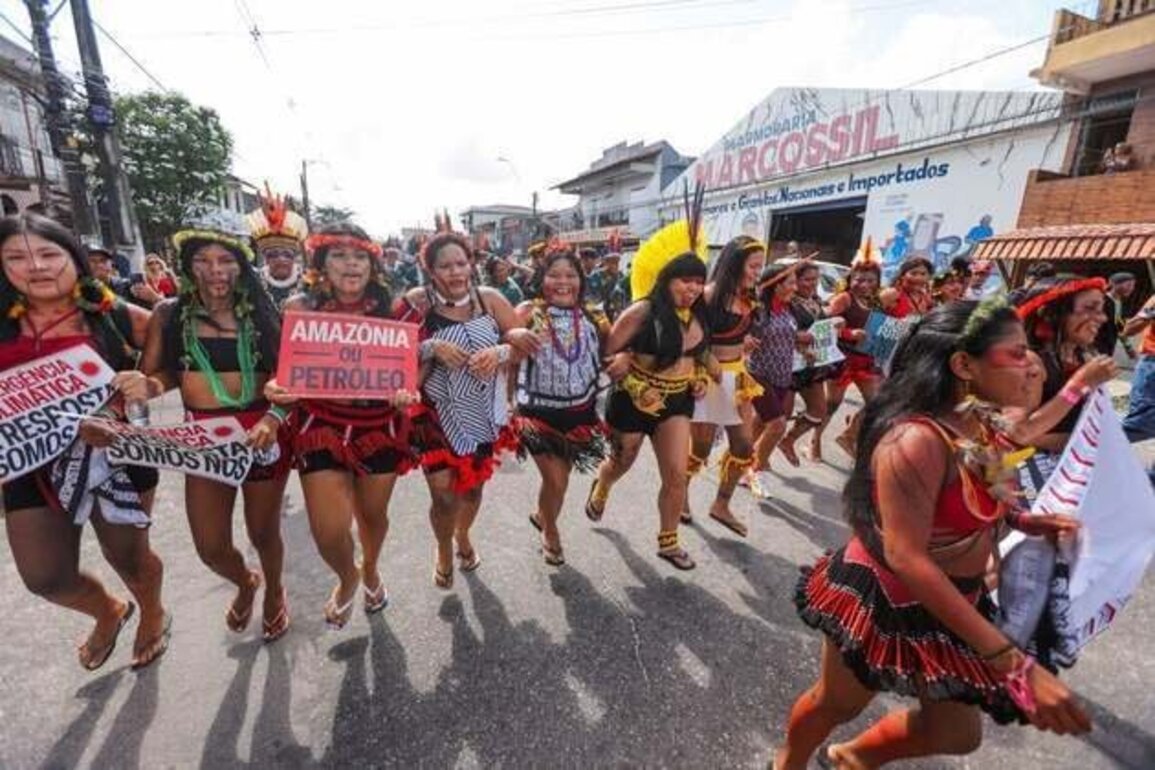 COP30 Should Accelerate Anti-Deforestation Efforts