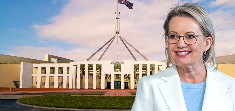 Liberal Party to unveil net zero policy